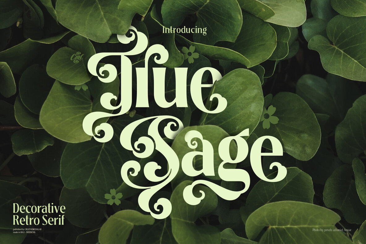 Celebrating True Sage: The Time-Honored Typeface That’s Redefining Design - Image 1