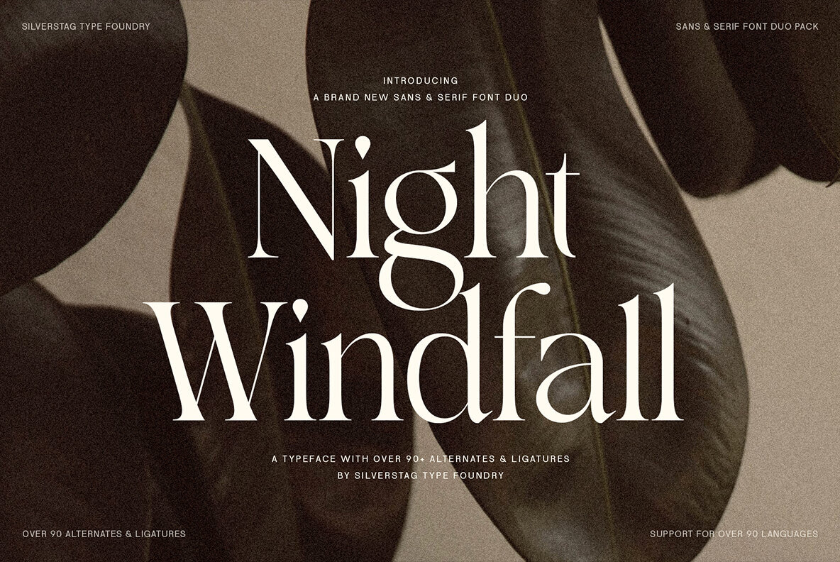 SLTF Night Windfall Font Duo Font