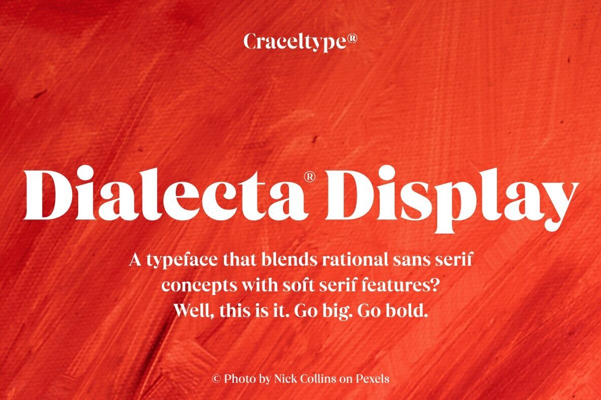 Dialecta Display Font - Image 1