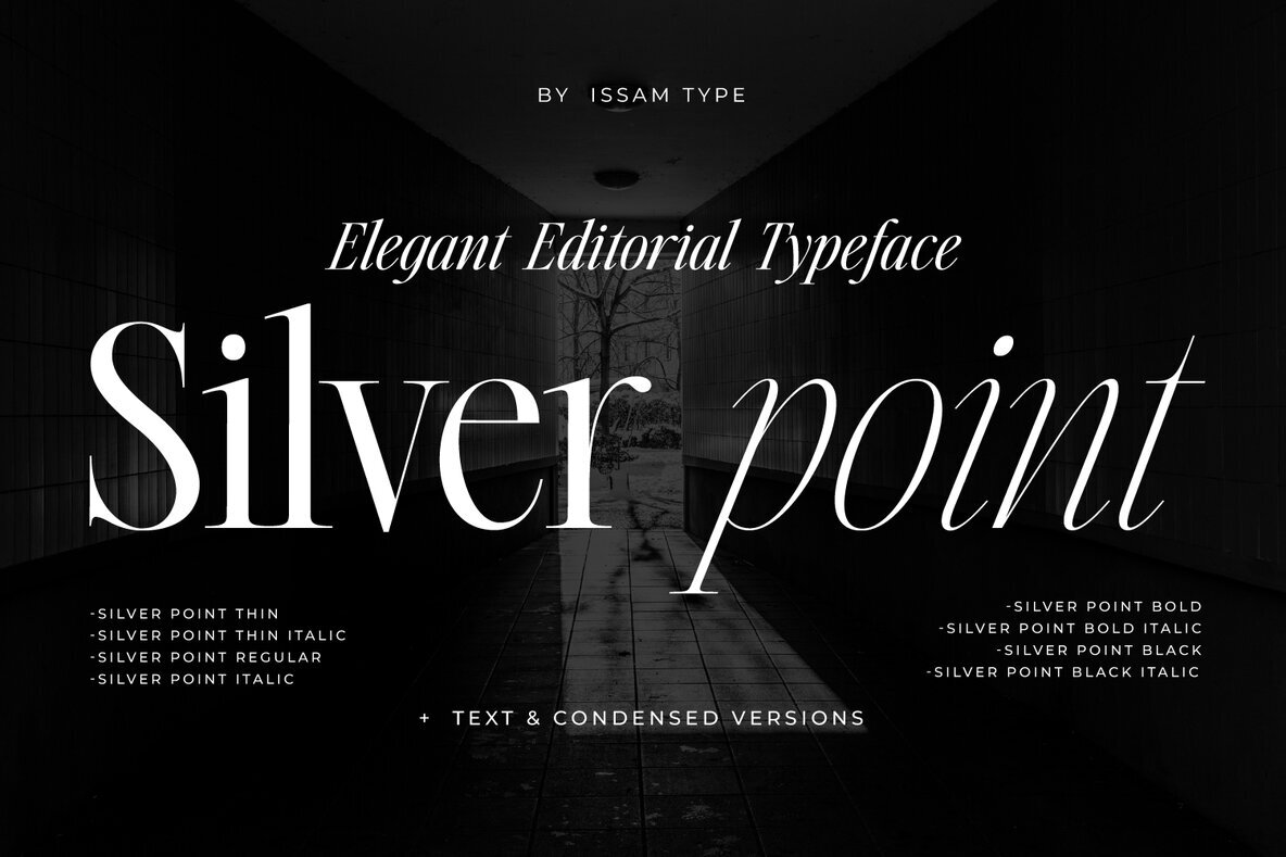 Silver Point Font - Image 1