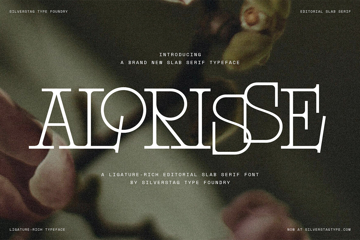 SLTF Alorisse Font - Image 1